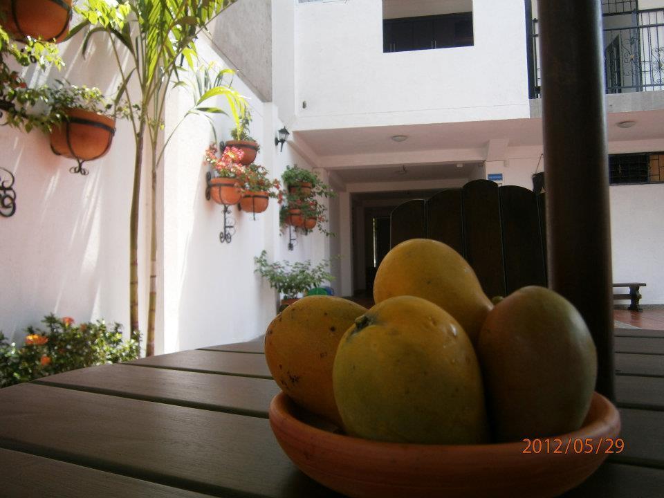 Hotel La Vieja Sara バジェドゥパル エクステリア 写真